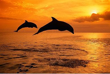 育碧承诺《不羁联盟》没有任何花钱买赢内容：非常重视