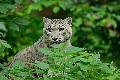 《地狱潜者2》取得巨大成功 超36万玩家同时在线