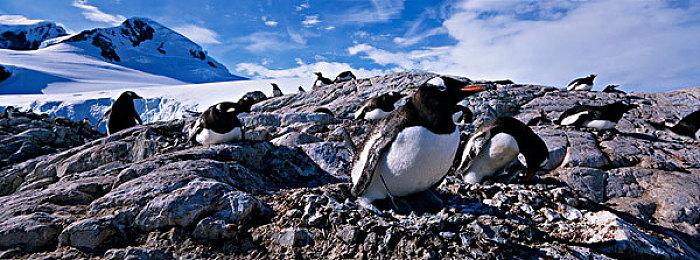 《街头霸王5》欧罗角色预告 展示招式V技能和服饰